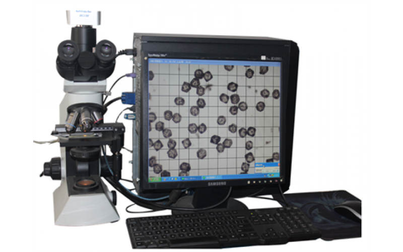 Particle Morphology Analysis